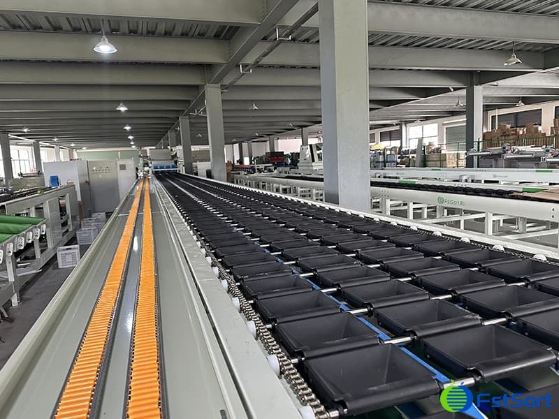 images/1701158036965máquina de 4 líneas de pimiento verde Jordan.jpg